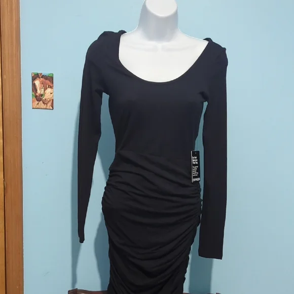 Express Black Ruched Long Sleeve Dress - Picture 1 of 11